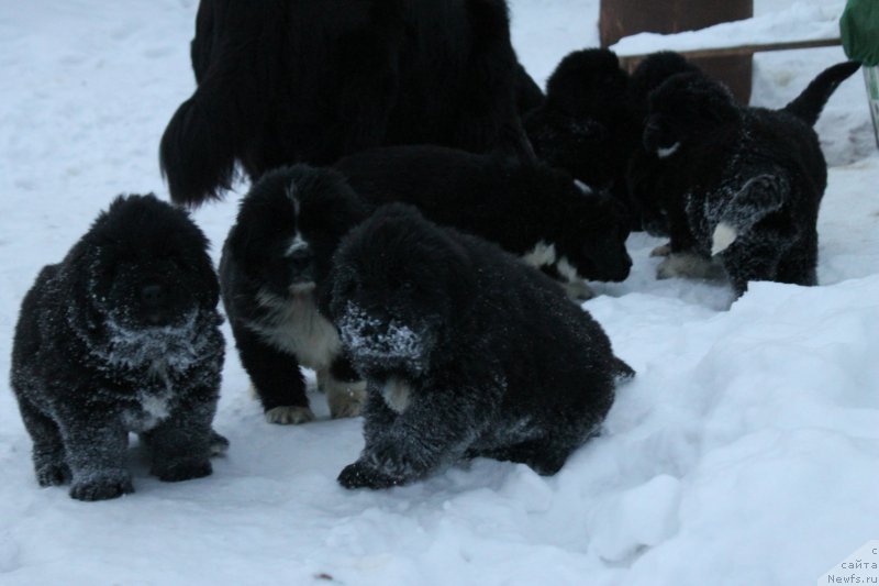 Фотография № 170404