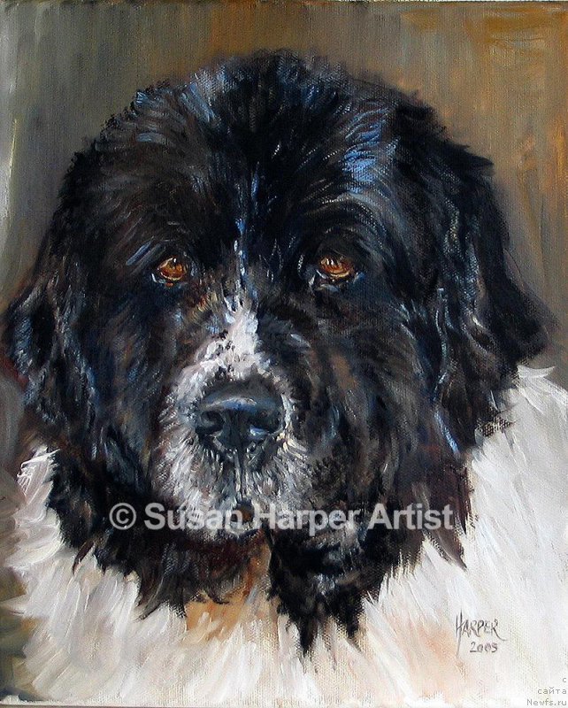 Фотография № 170427