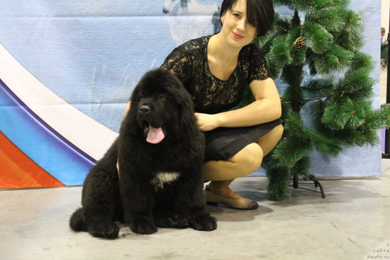 Фото: ХУОДЕ ШЕНЬ АРИСТОТЕЛЬ!!!!