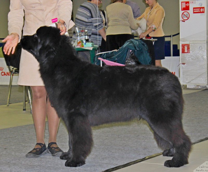 Фотография № 170544