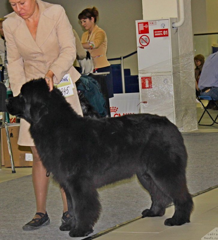 Фотография № 170546