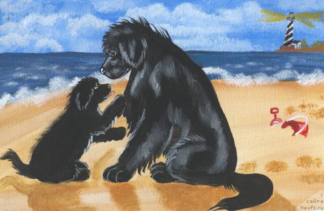 Фотография № 170550