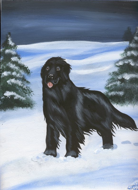 Фотография № 170564