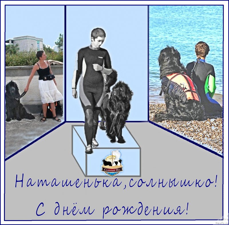 Фотография № 170578