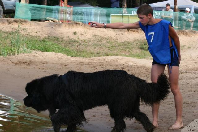 Фотография № 17058