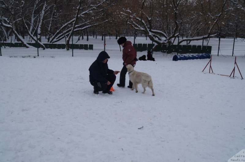 Фотография № 170580