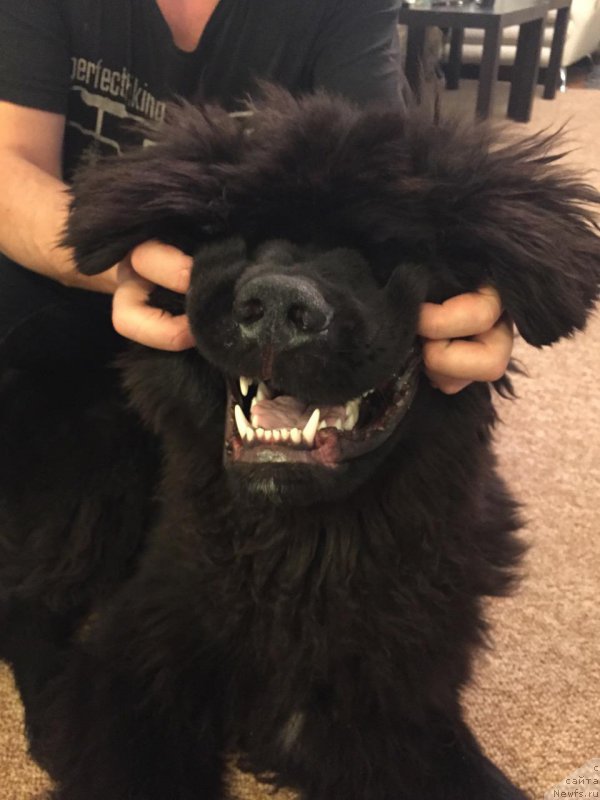 Фото: Антон Печорин