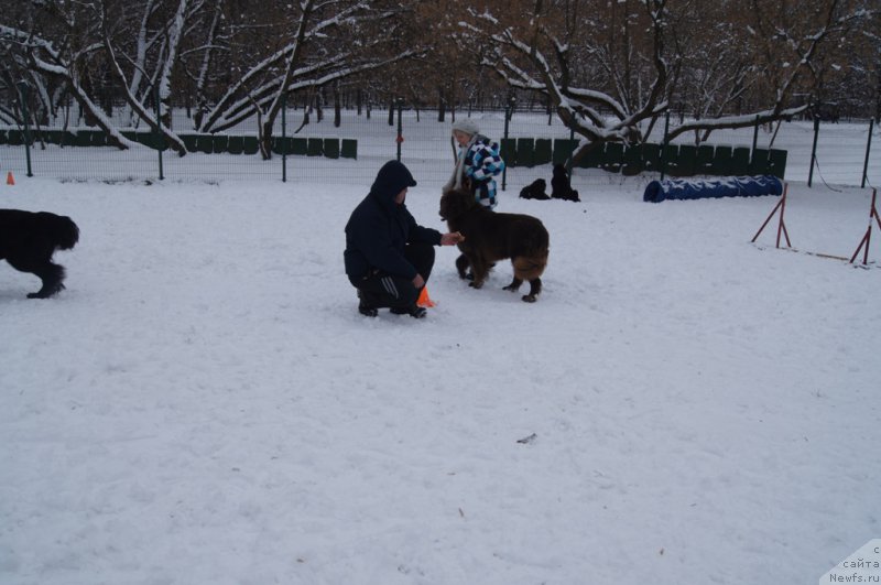 Фотография № 170582