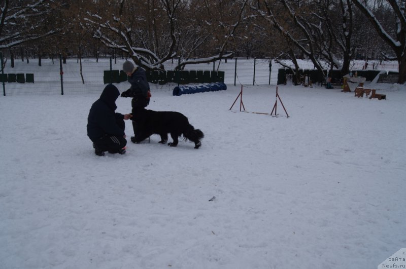 Фотография № 170583