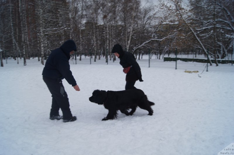 Фотография № 170586