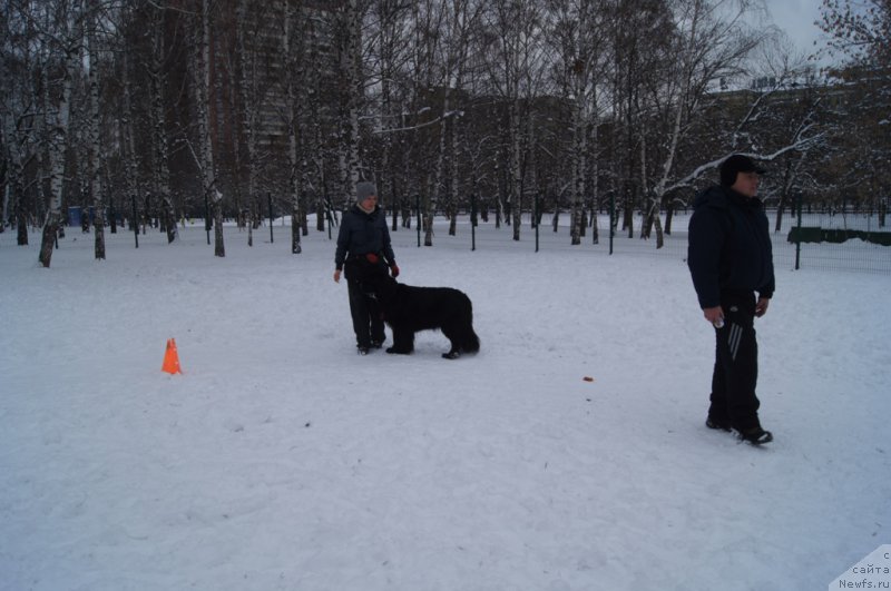 Фотография № 170589