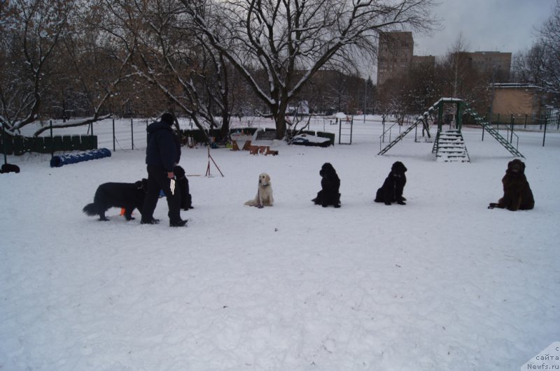 Фотография № 170590