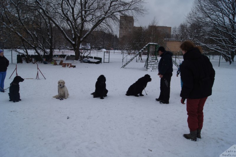 Фотография № 170591