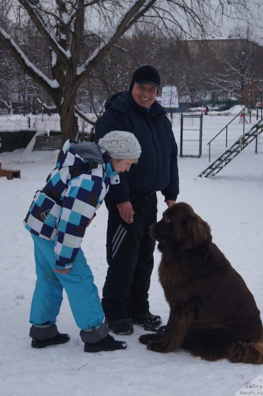 Фотография № 170593