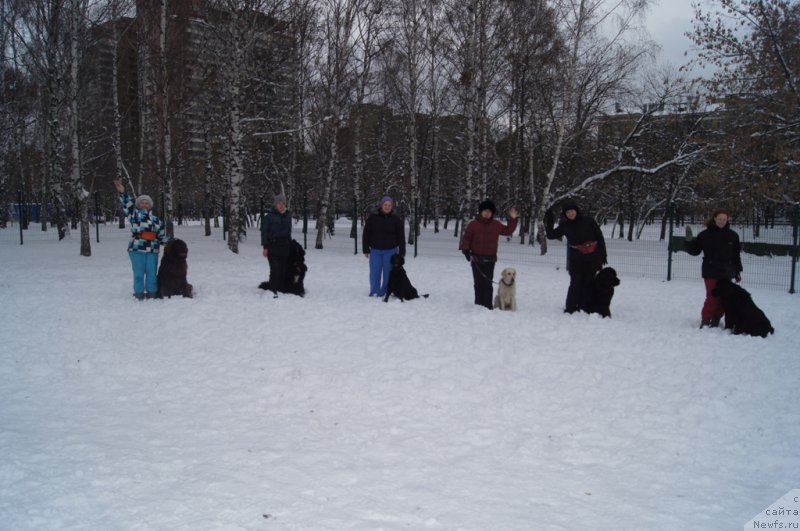 Фотография № 170594