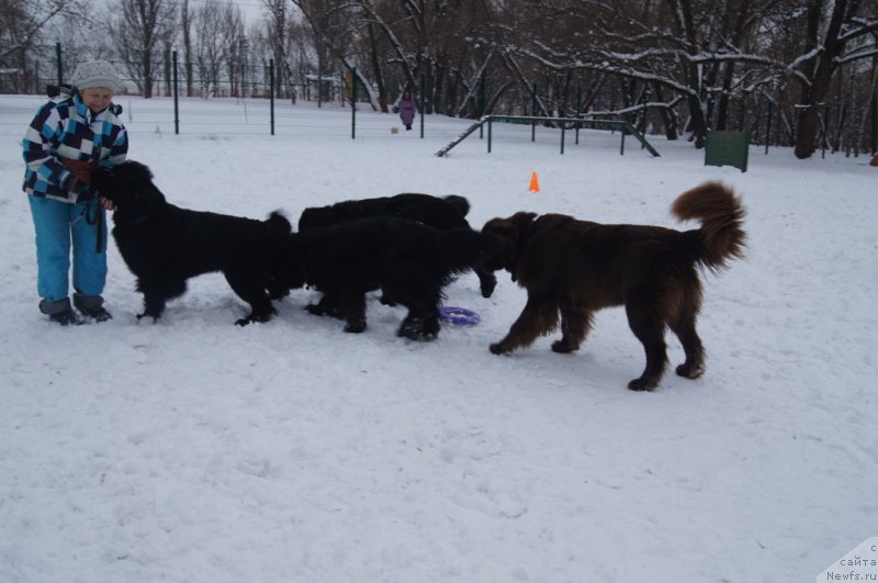 Фотография № 170596