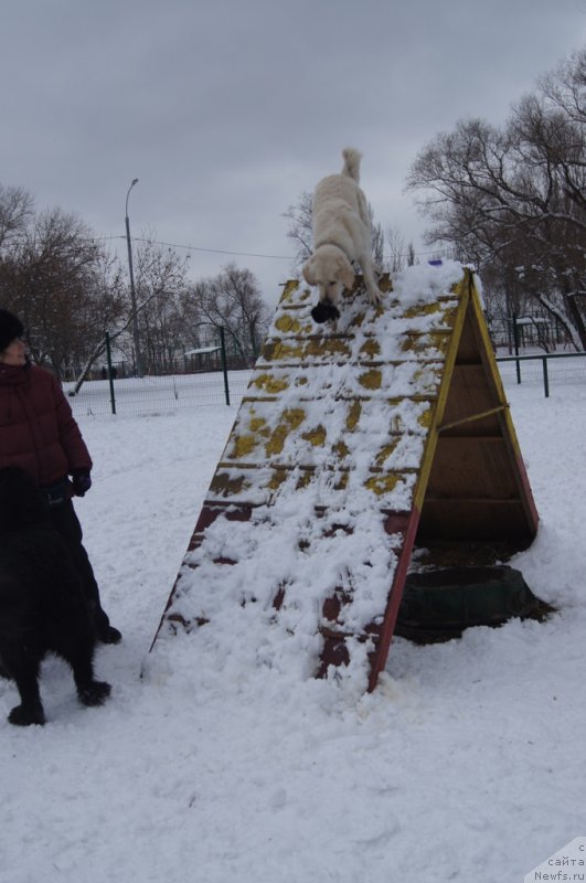 Фотография № 170598