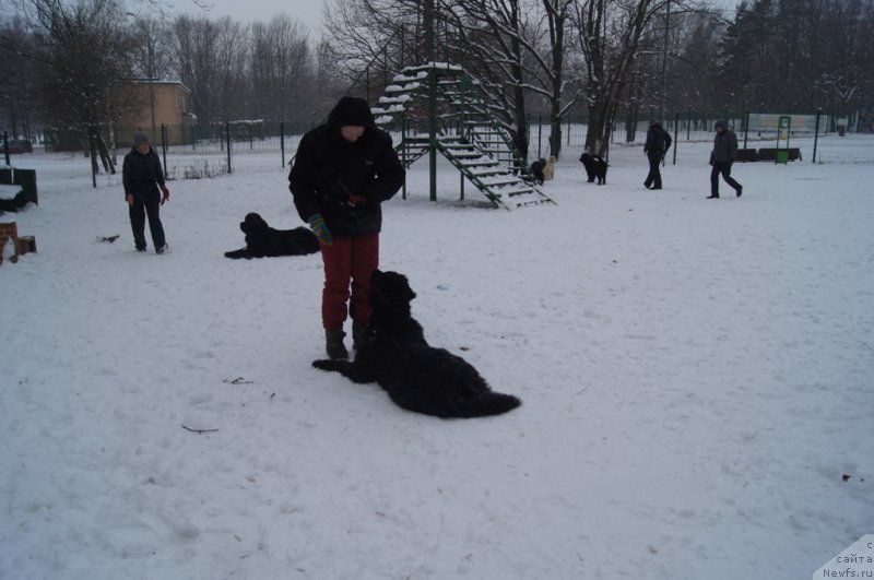 Фотография № 170600