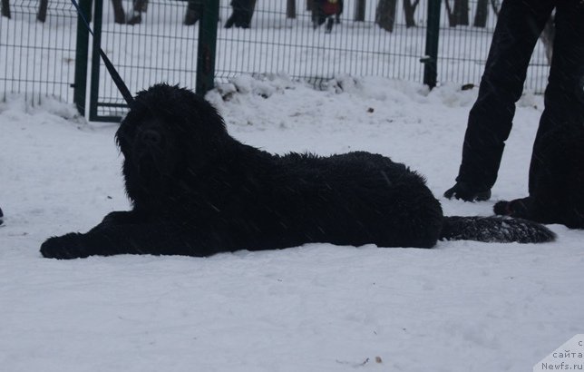 Фотография № 170603