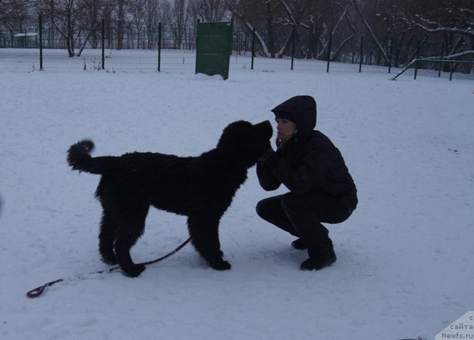 Фотография № 170605