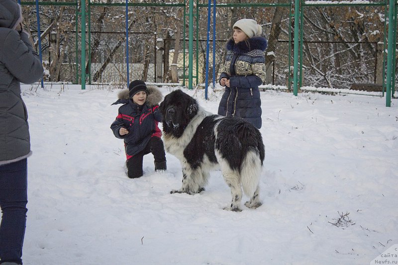 Фотография № 170607