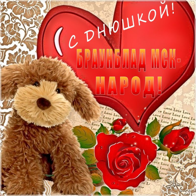 Фото: Елена Шмелева