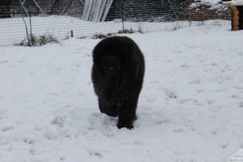 Фотография № 170617