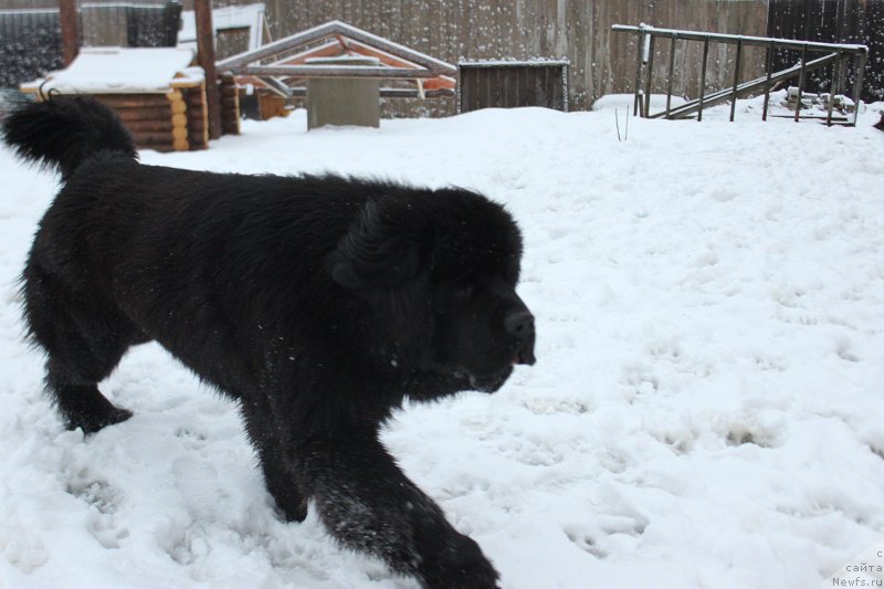 Фотография № 170626