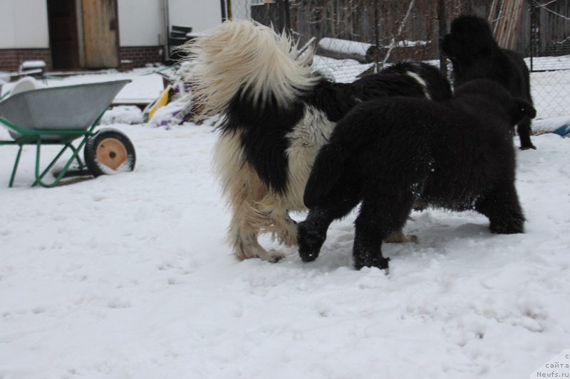 Фотография № 170627