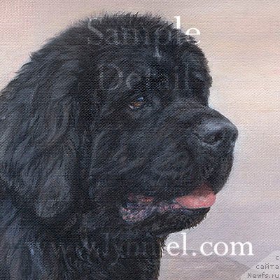 Фотография № 170628