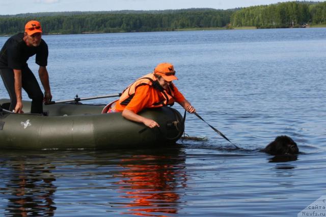 Фотография № 17063