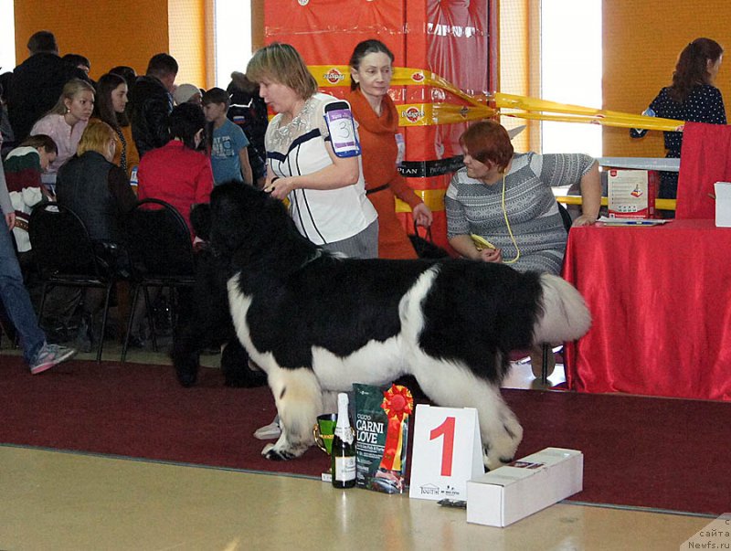 Фотография № 170644