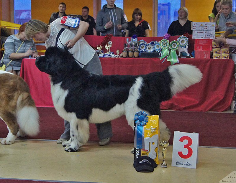 Фотография № 170645