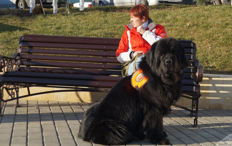 Фотография № 170648