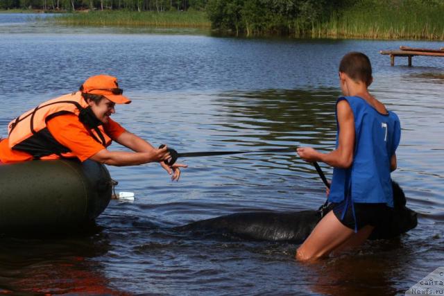 Фотография № 17065