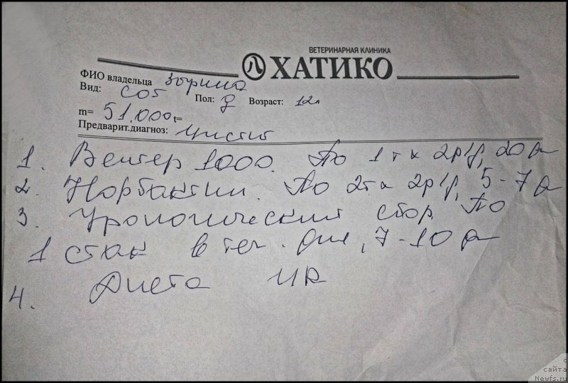 Фотография № 170662