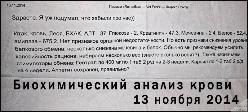 Фотография № 170663