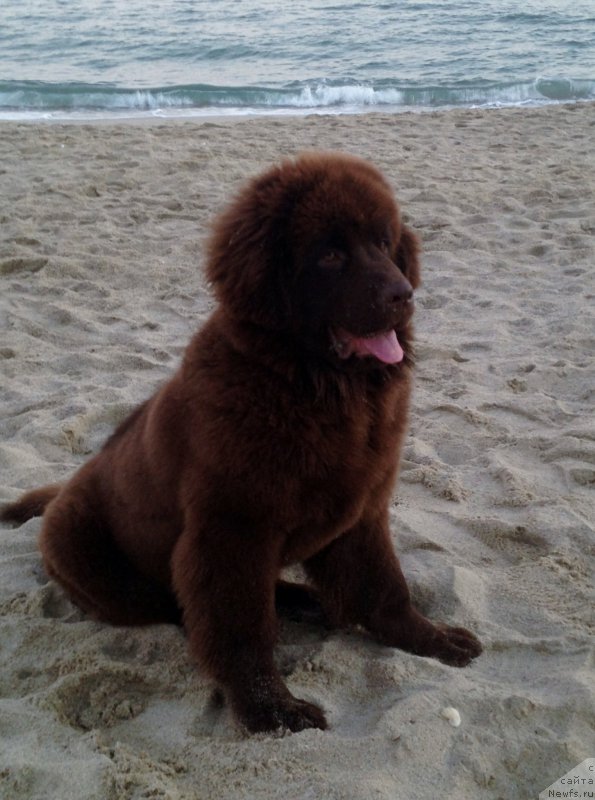 Фотография № 170674