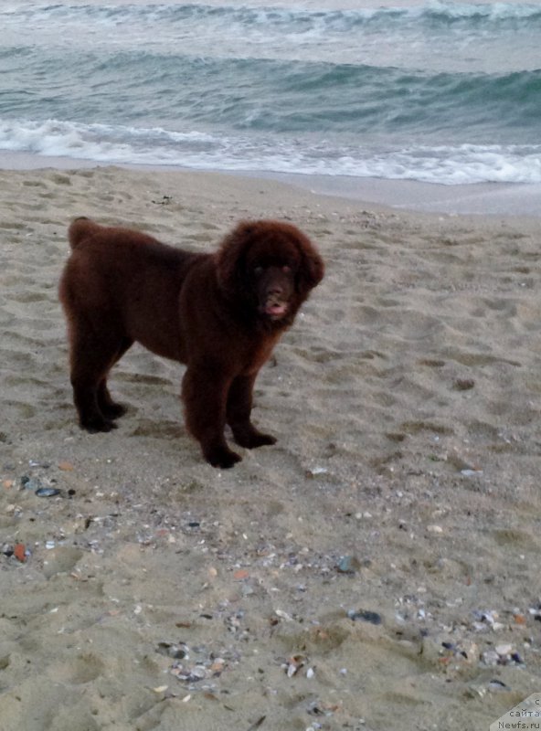 Фотография № 170675