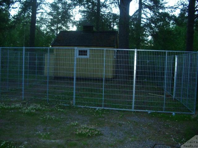 Фотография № 17070