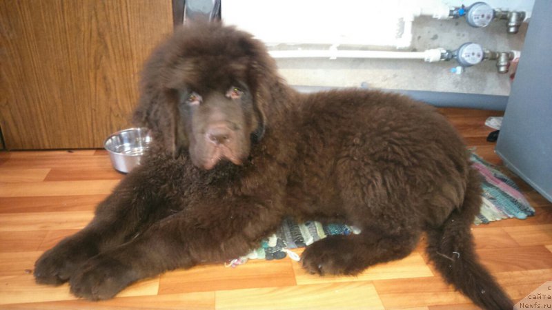 Фото: Черный Шарм Дензел Вашингтон