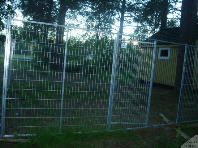 Фотография № 17071