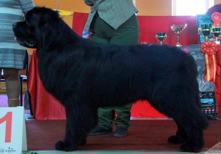 Фотография № 170718