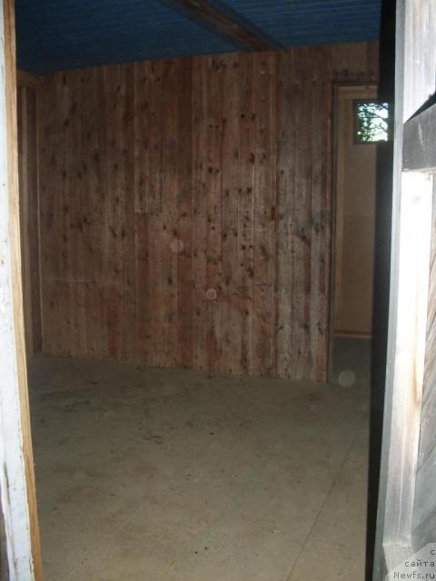 Фотография № 17072