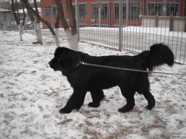 Фотография № 170737