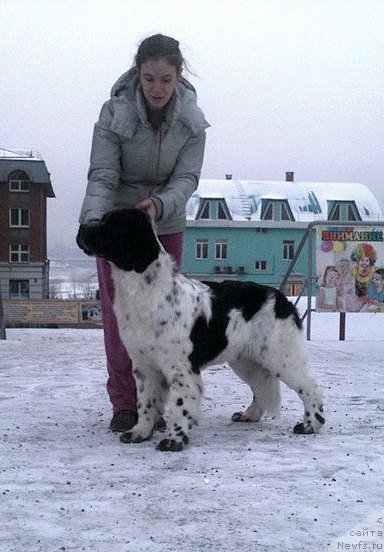 Фотография № 170749