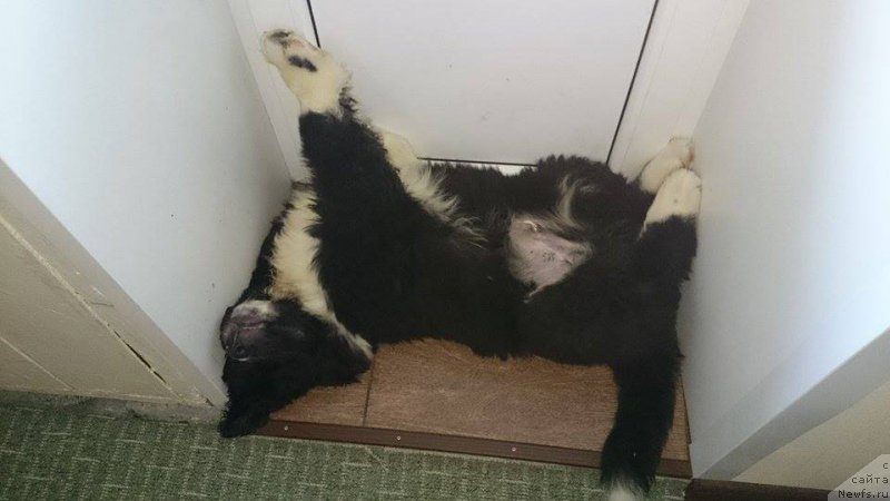 Фотография № 170752