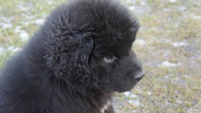 Фотография № 170758