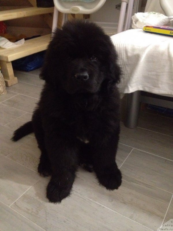 Фотография № 170763