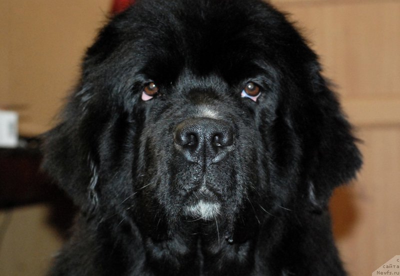 Фотография № 170769